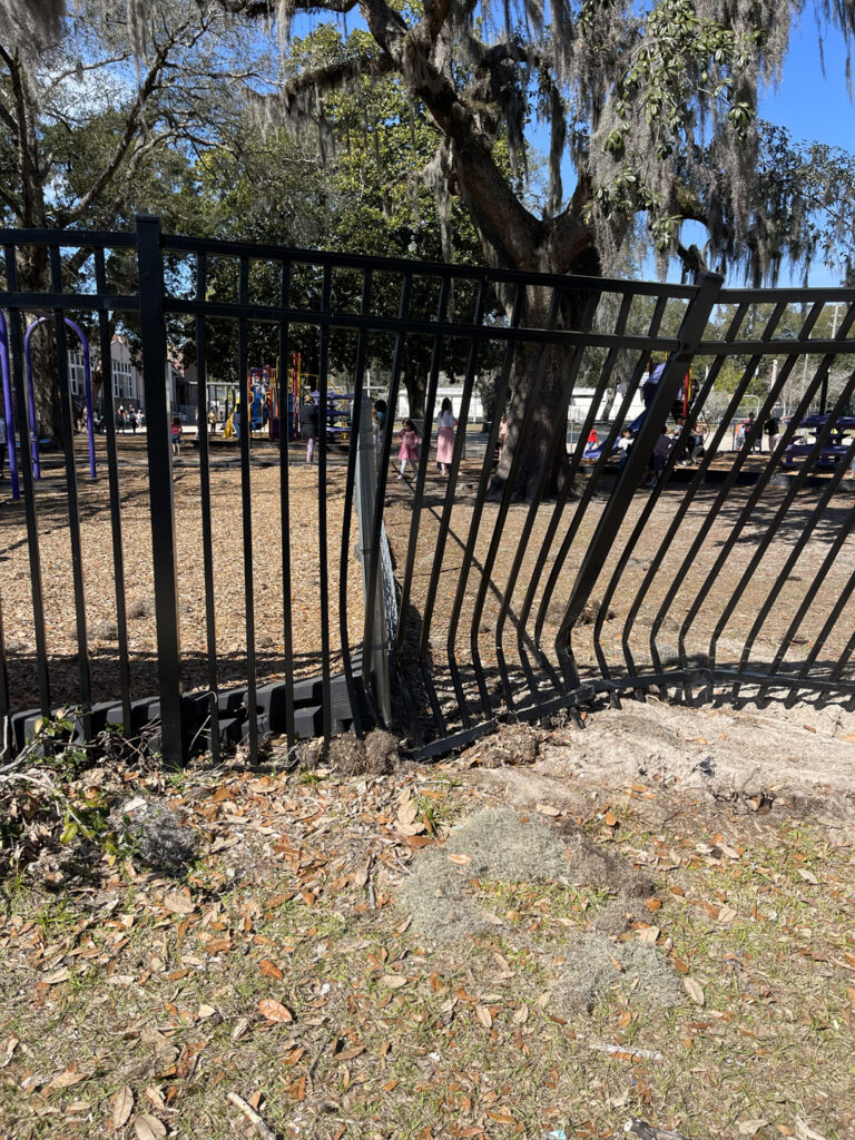 Damaged black metal fence surrounding a tree in a park.