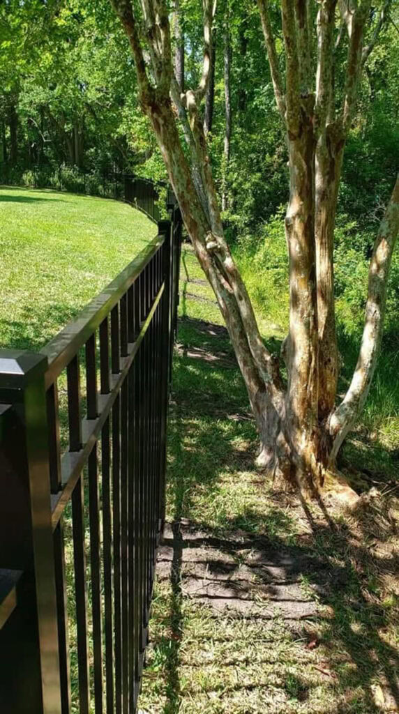 Black metal fence alongside trees in a landscaped yard.